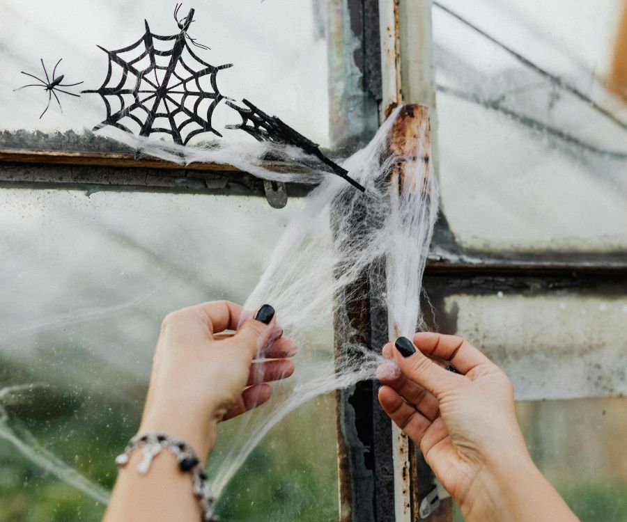 spider removal